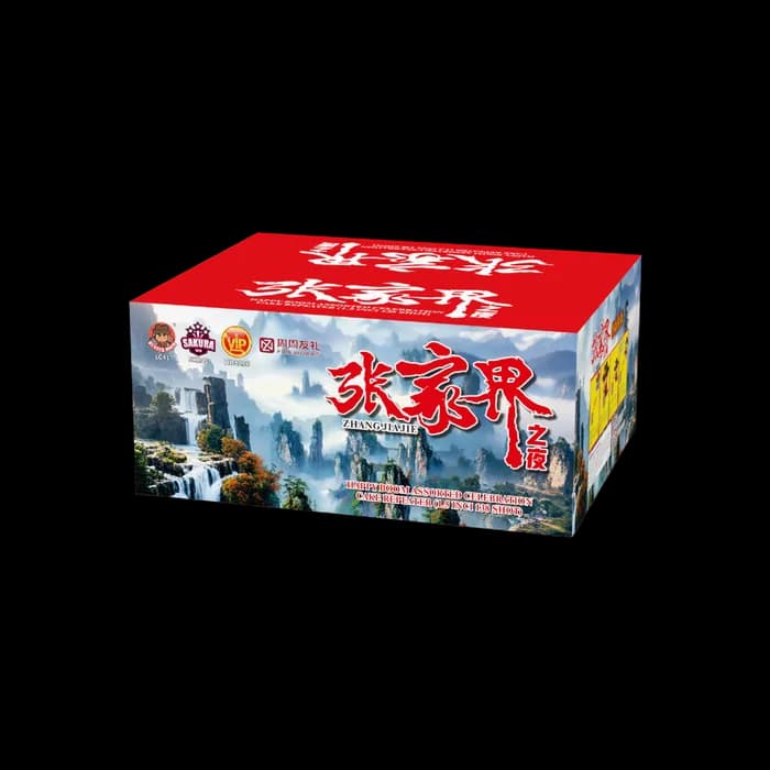 10 INCH CAKE - ZHANG JIAJIE